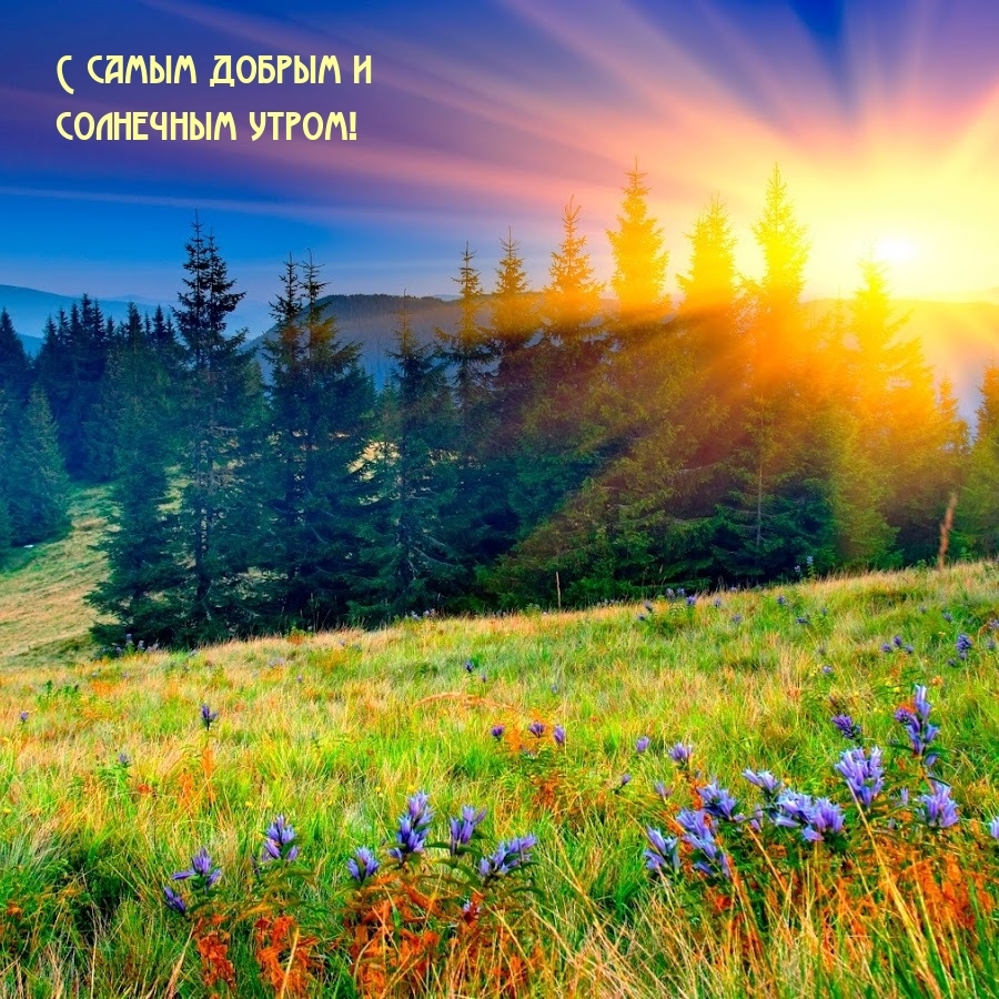 С самым добрым и солнечным утром!