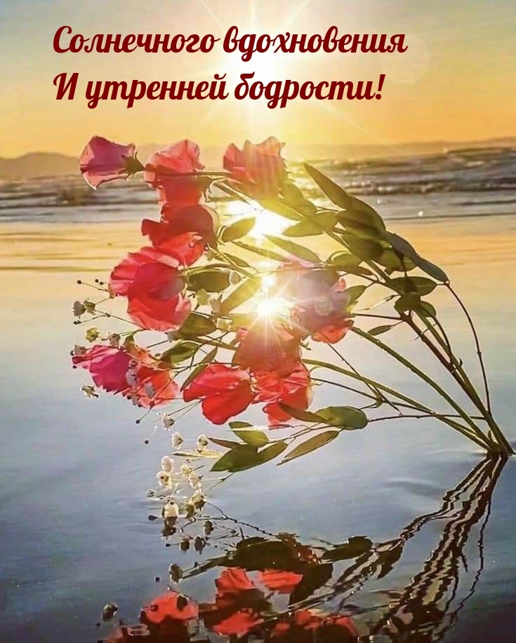 Солнечного вдохновения и утренней бодрости!
