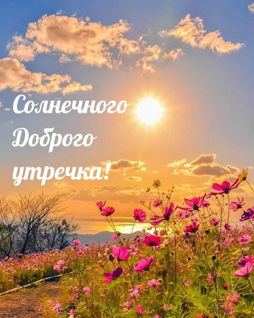Солнечного Доброго утречка!