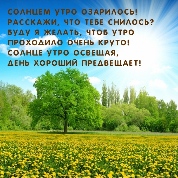 Солнцем утро озарилось! Расскажи, что тебе снилось?