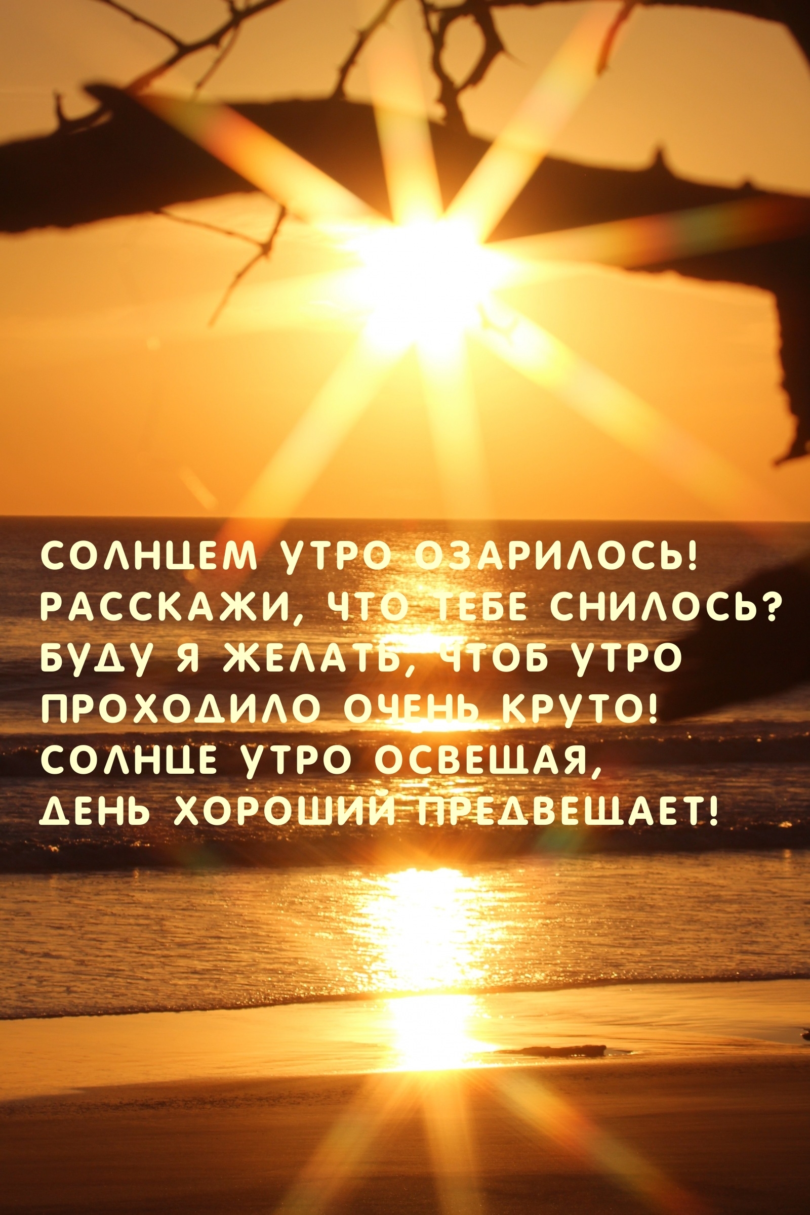 Солнцем утро озарилось! Расскажи, что тебе снилось?