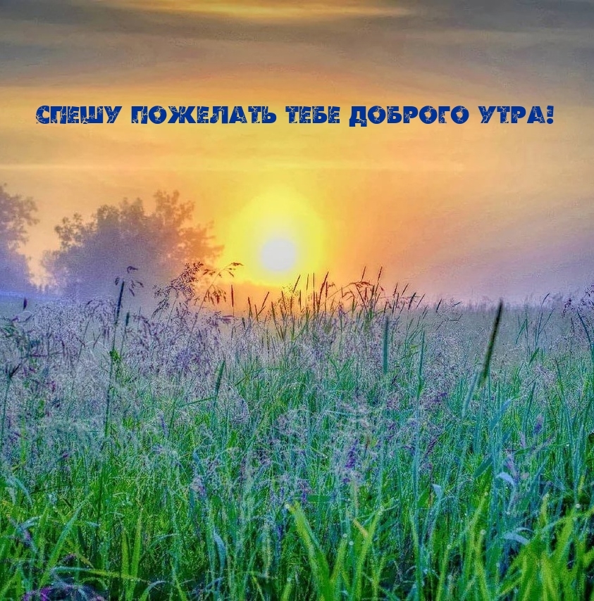 Спешу пожелать тебе доброго утра!