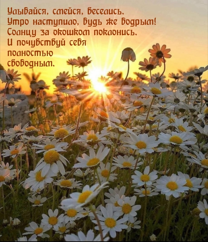 Улыбайся, смейся, веселись. Утро наступило, будь же бодрым!