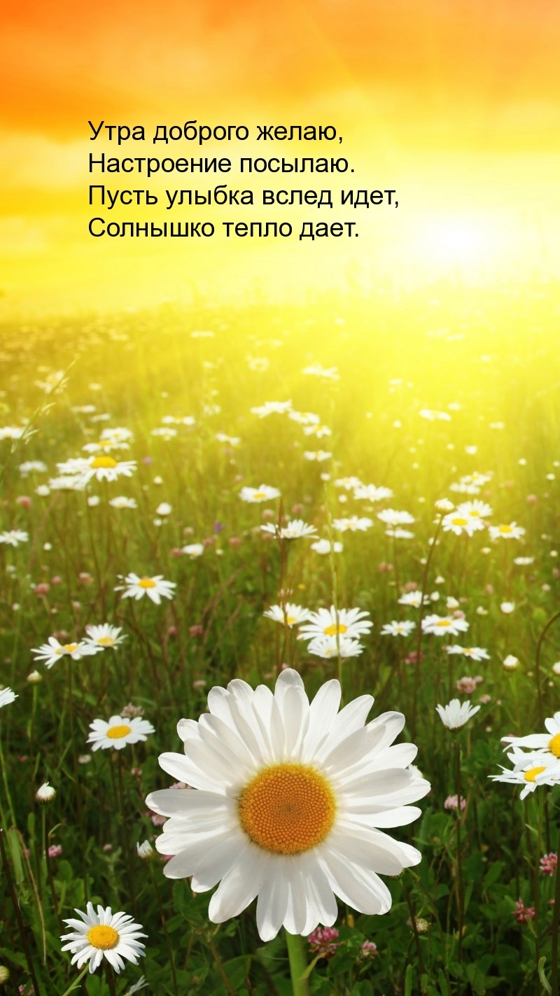 Утра доброго желаю, настроение посылаю.