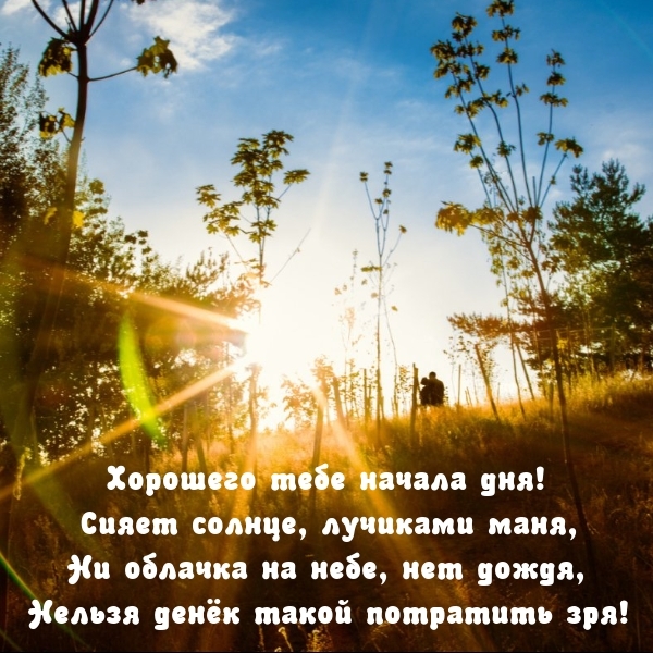Хорошего тебе начала дня! Сияет солнце, лучиками маня