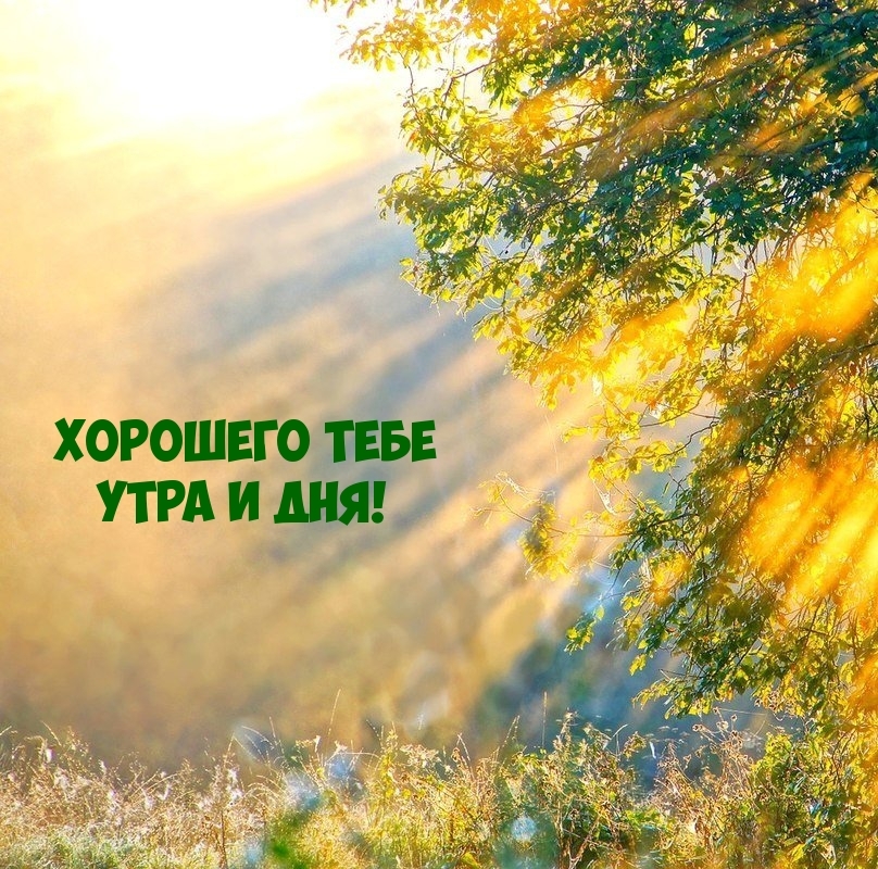 Хорошего тебе утра и дня!