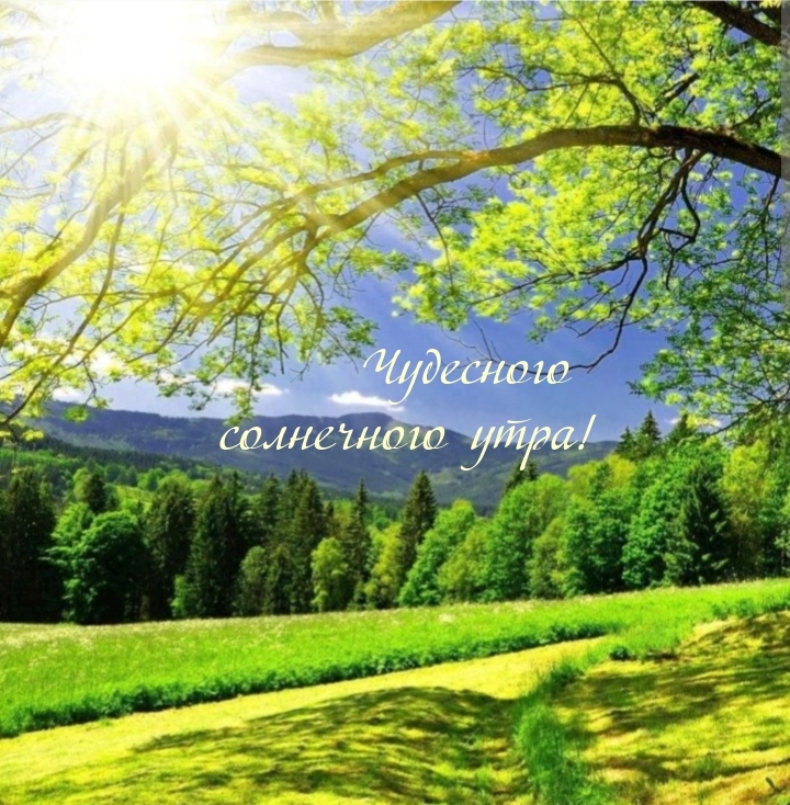 Чудесного солнечного утра!