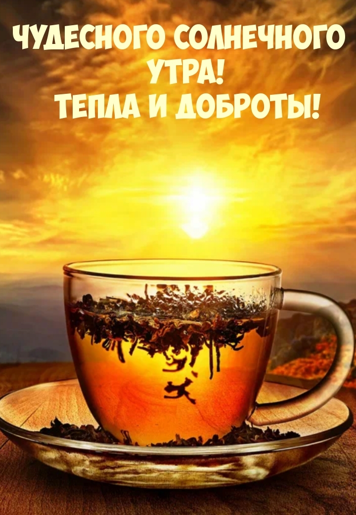 Чудесного солнечного Утра! Тепла и Доброты!