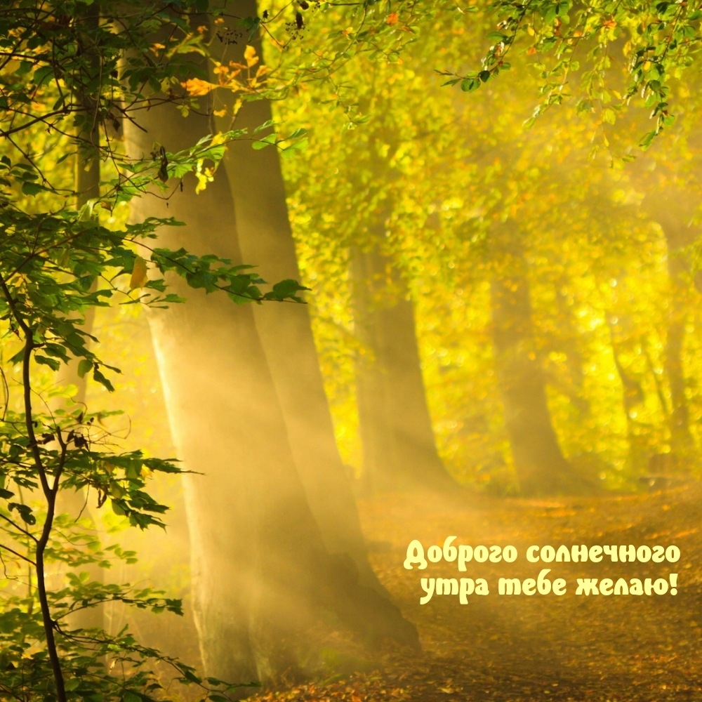 Доброго солнечного утра тебе желаю!