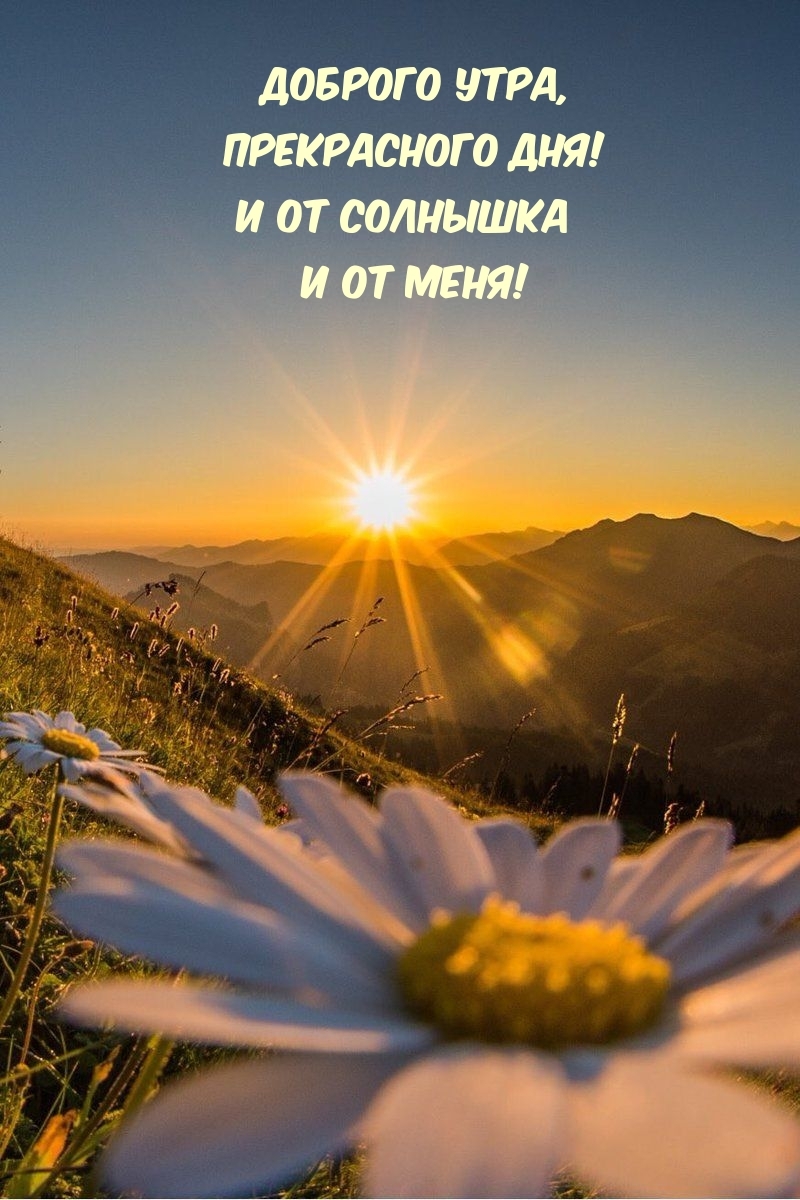 Доброго утра, прекрасного дня! И от солнышка и от меня!