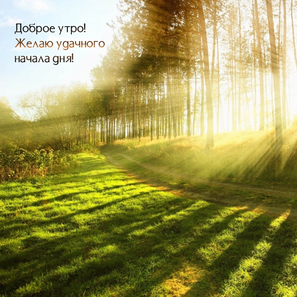 Доброе утро! Желаю удачного начала дня!