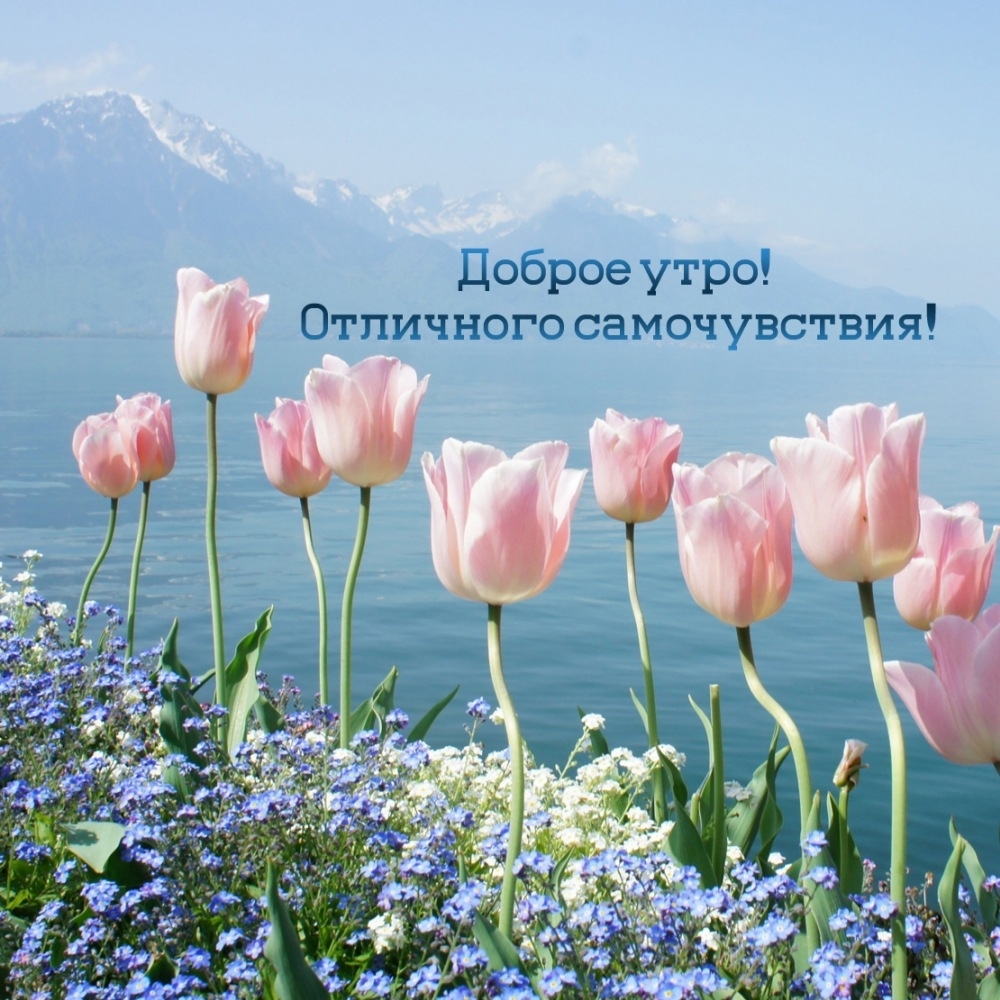 Доброе утро! Отличного самочувствия!