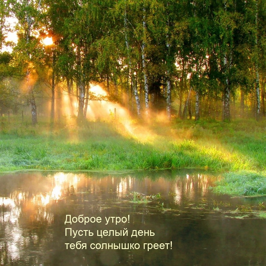 Доброе утро! Пусть целый день тебя солнышко греет!