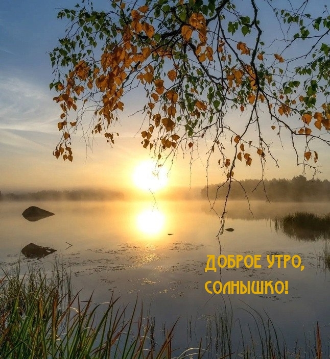 Доброе утро, солнышко!