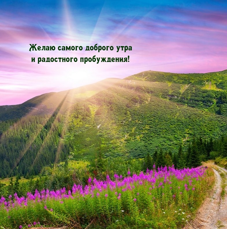 Желаю самого доброго утра и радостного пробуждения!