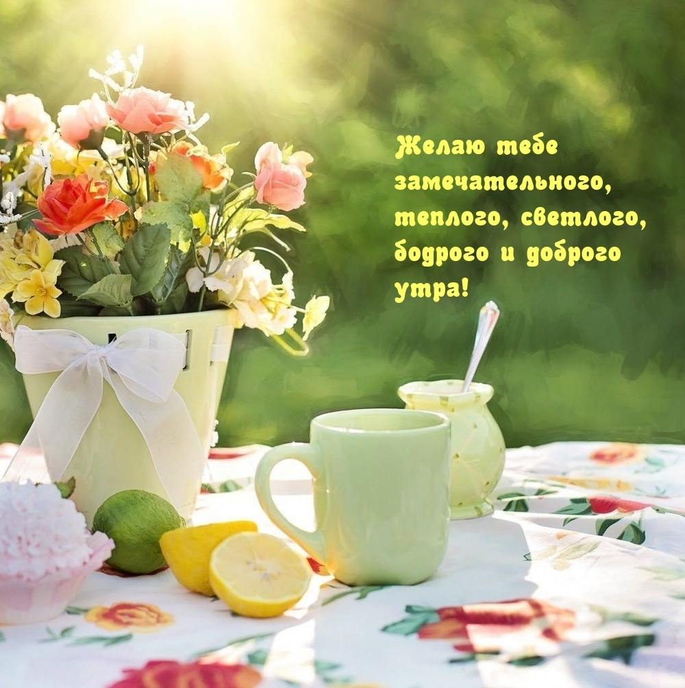 Желаю тебе замечательного, теплого, светлого утра!