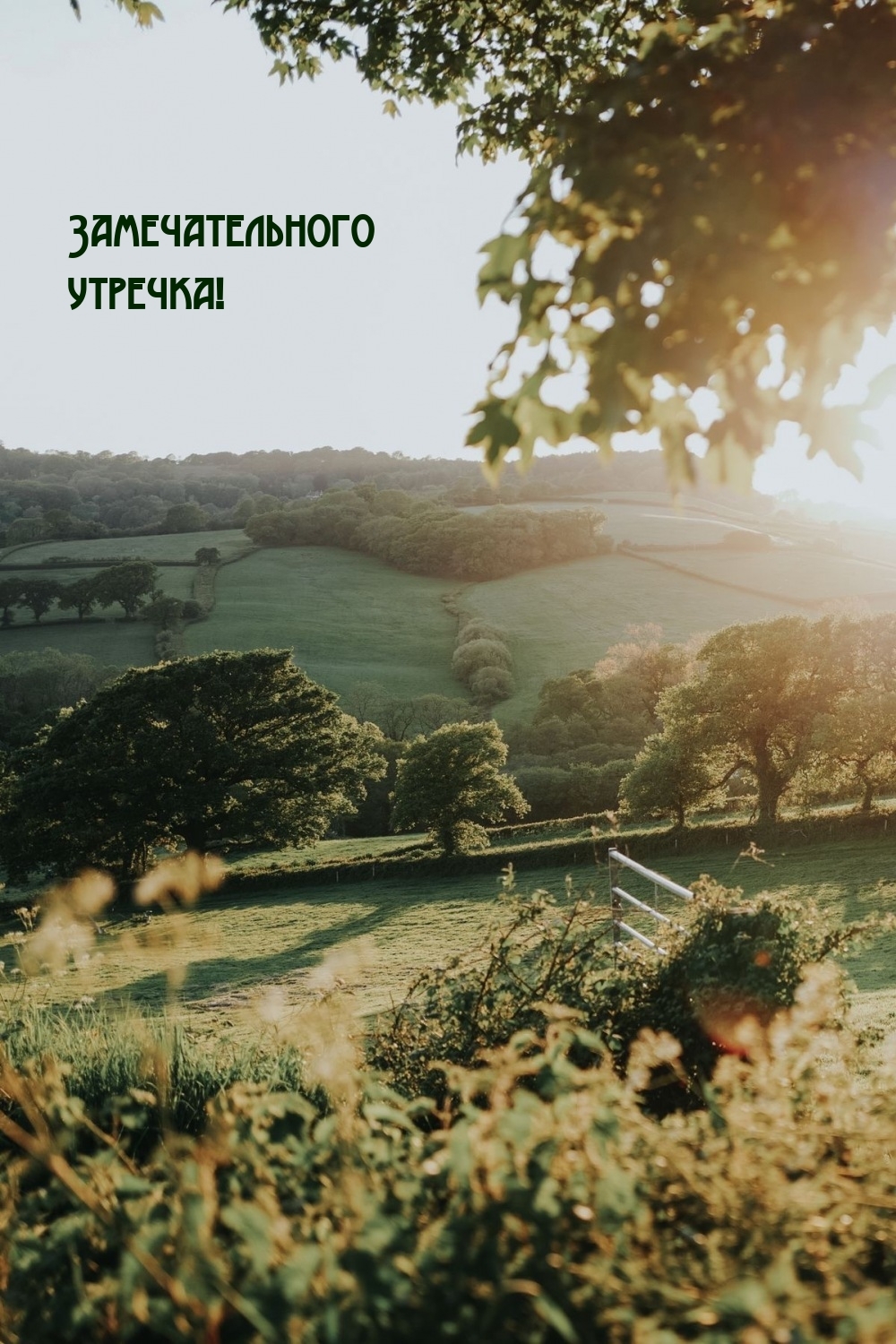 Замечательного утречка!