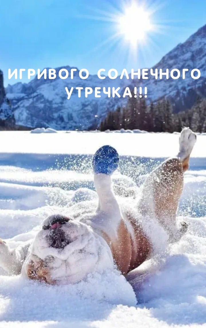 Игривого солнечного утречка!