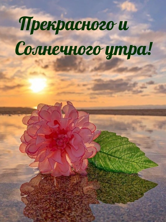 Прекрасного и солнечного утра!