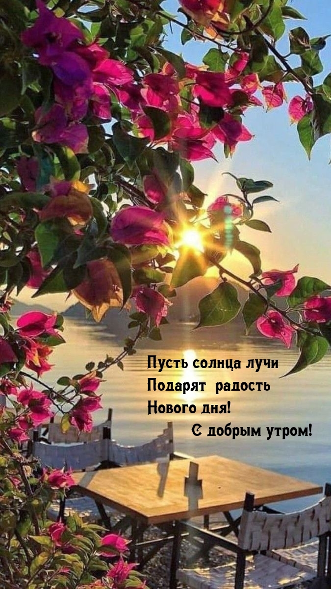 Пусть солнца лучи подарят радость нового дня! С добрым утром!