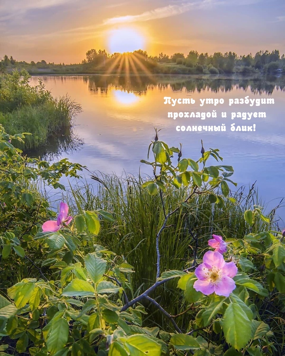 Пусть утро разбудит прохладой и радует солнечный блик!