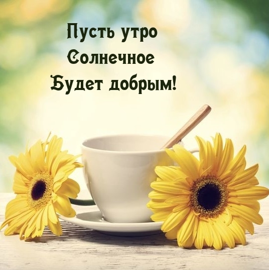Пусть утро солнечное будет добрым!