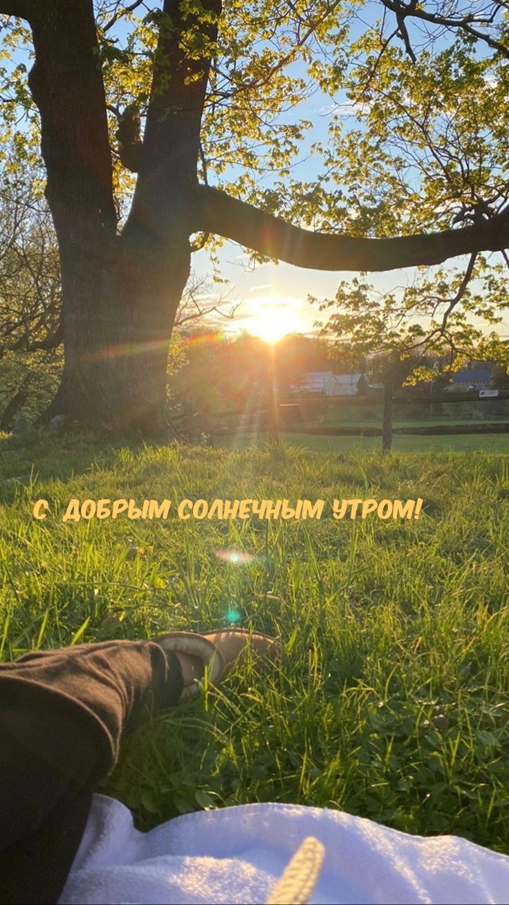 С добрым солнечным утром!