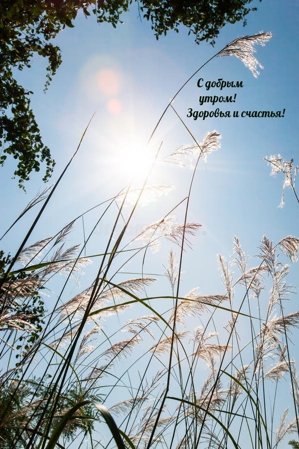 С добрым утром! Здоровья и счастья!