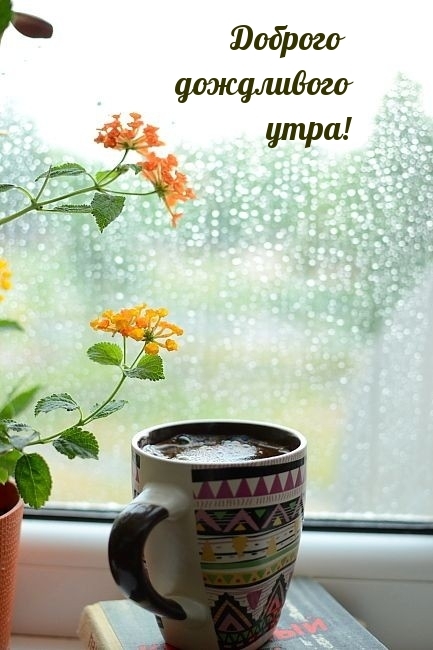 Доброго дождливого утра!