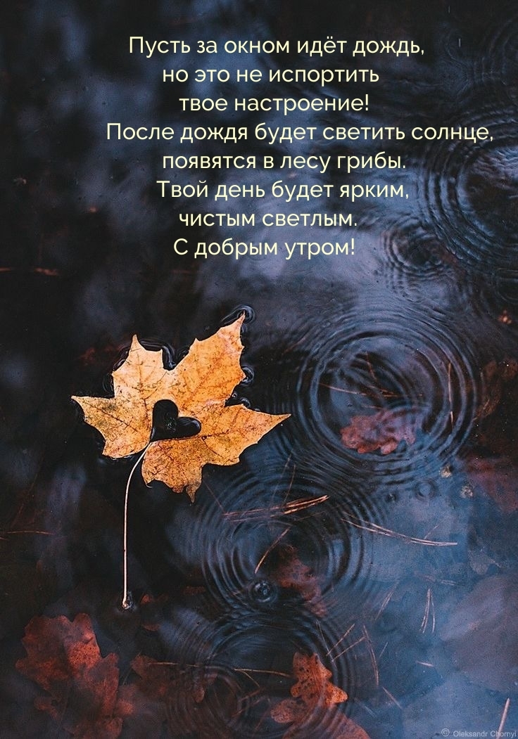 Пусть за окном идет дождь, но это не испортить твое настроение!