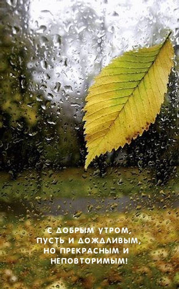 С добрым утром, и дождливым, но прекрасным и неповторимым!