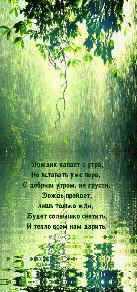 С добрым утром, не грусти, дождь пройдет