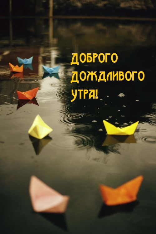 Доброго Дождливого Утра!