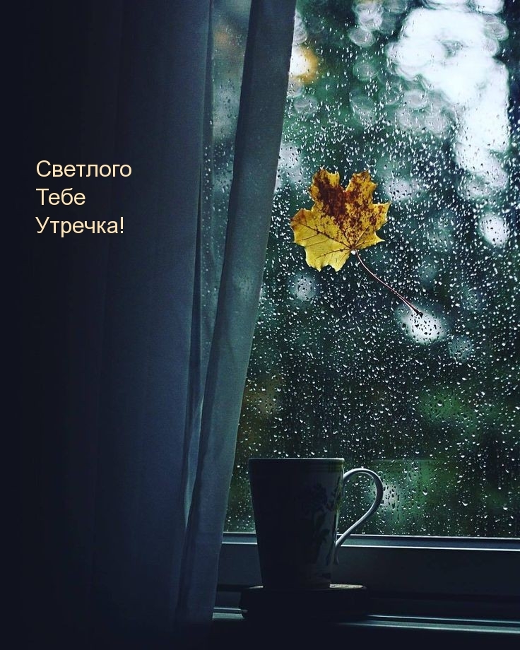 Светлого Тебе Утречка!