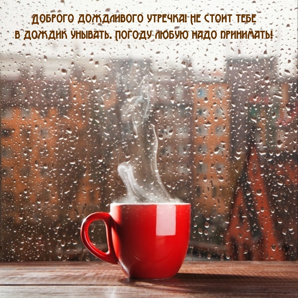 Доброго дождливого утречка! Не стоит тебе в дождик унывать.