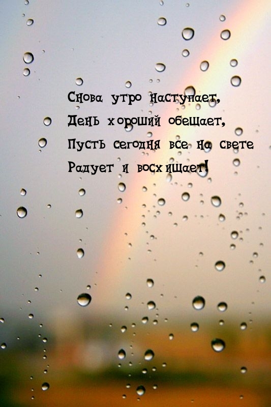 Снова утро наступает, день хороший обещает