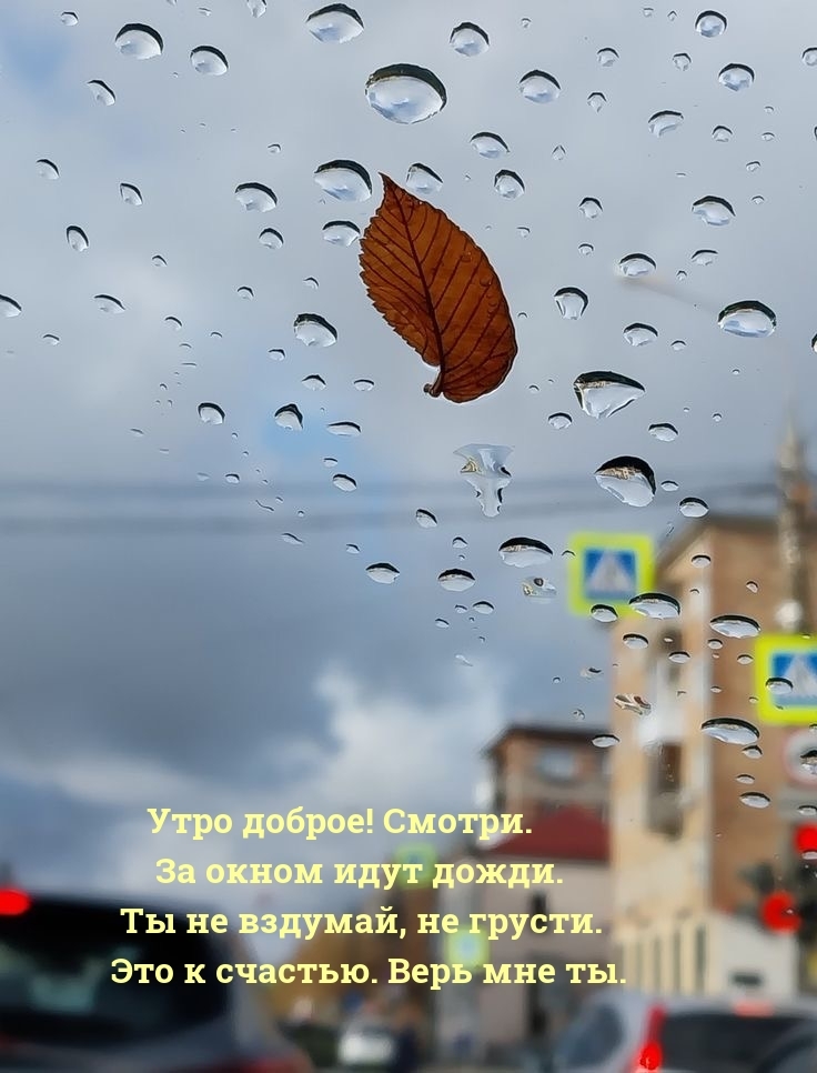 Утро доброе! Смотри. За окном идут дожди.