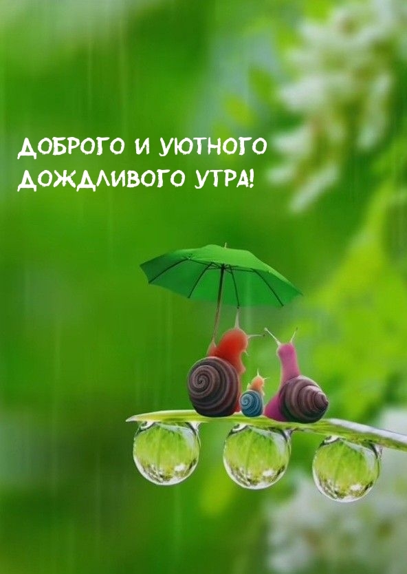 Доброго и уютного Дождливого утра!