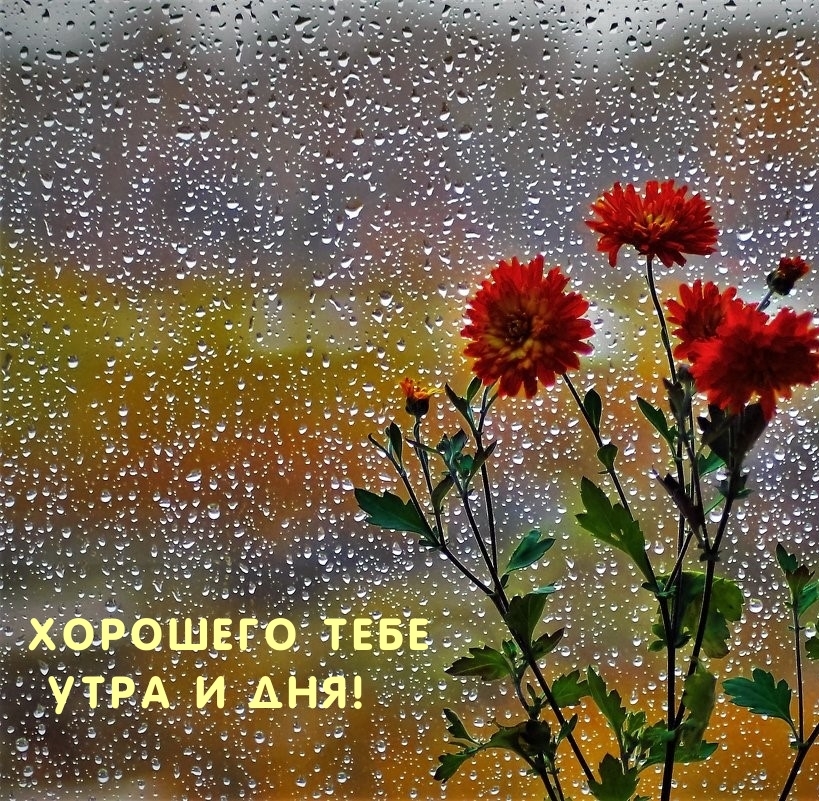 Хорошего тебе утра и дня!