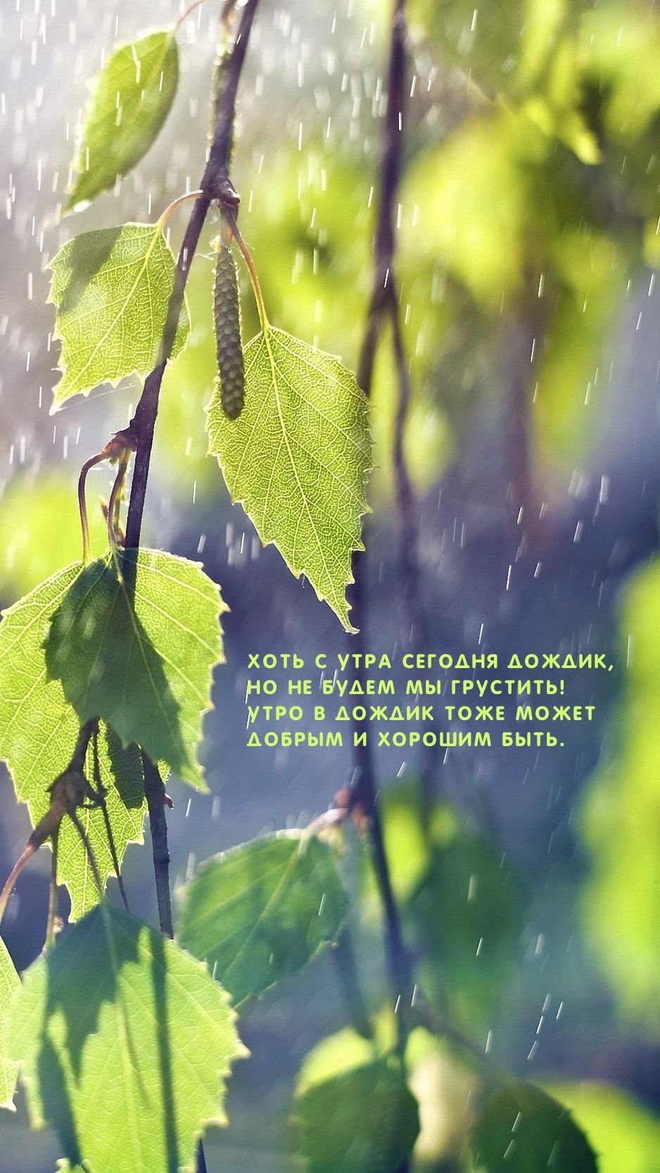 Хоть с утра сегодня дождик, но не будем мы грустить!