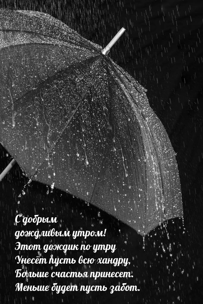 Этот дождик по утру унесет пусть всю хандру