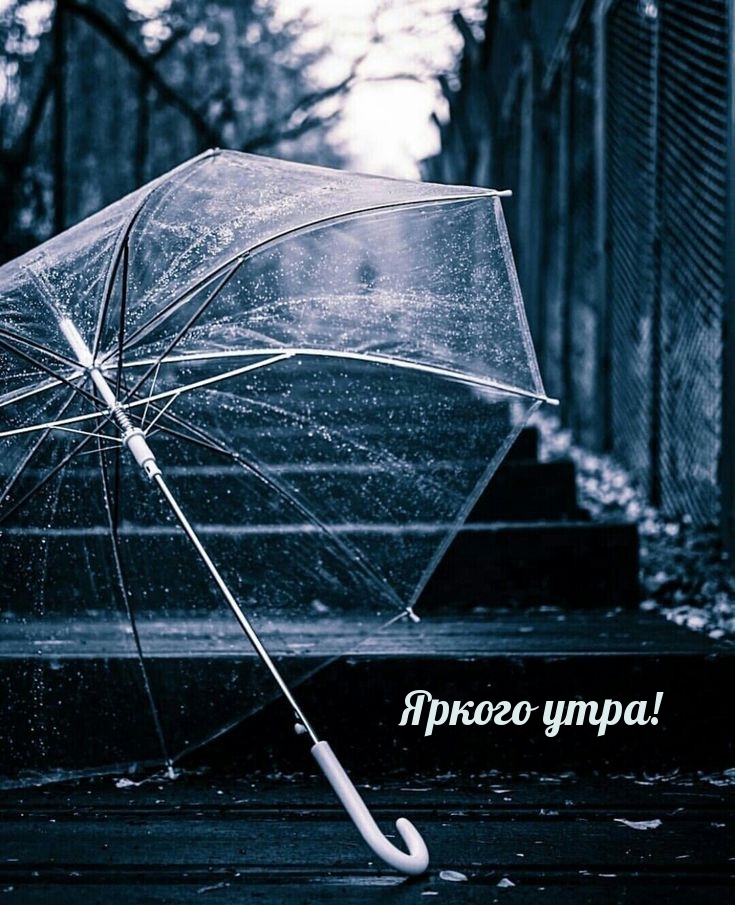 Яркого утра!