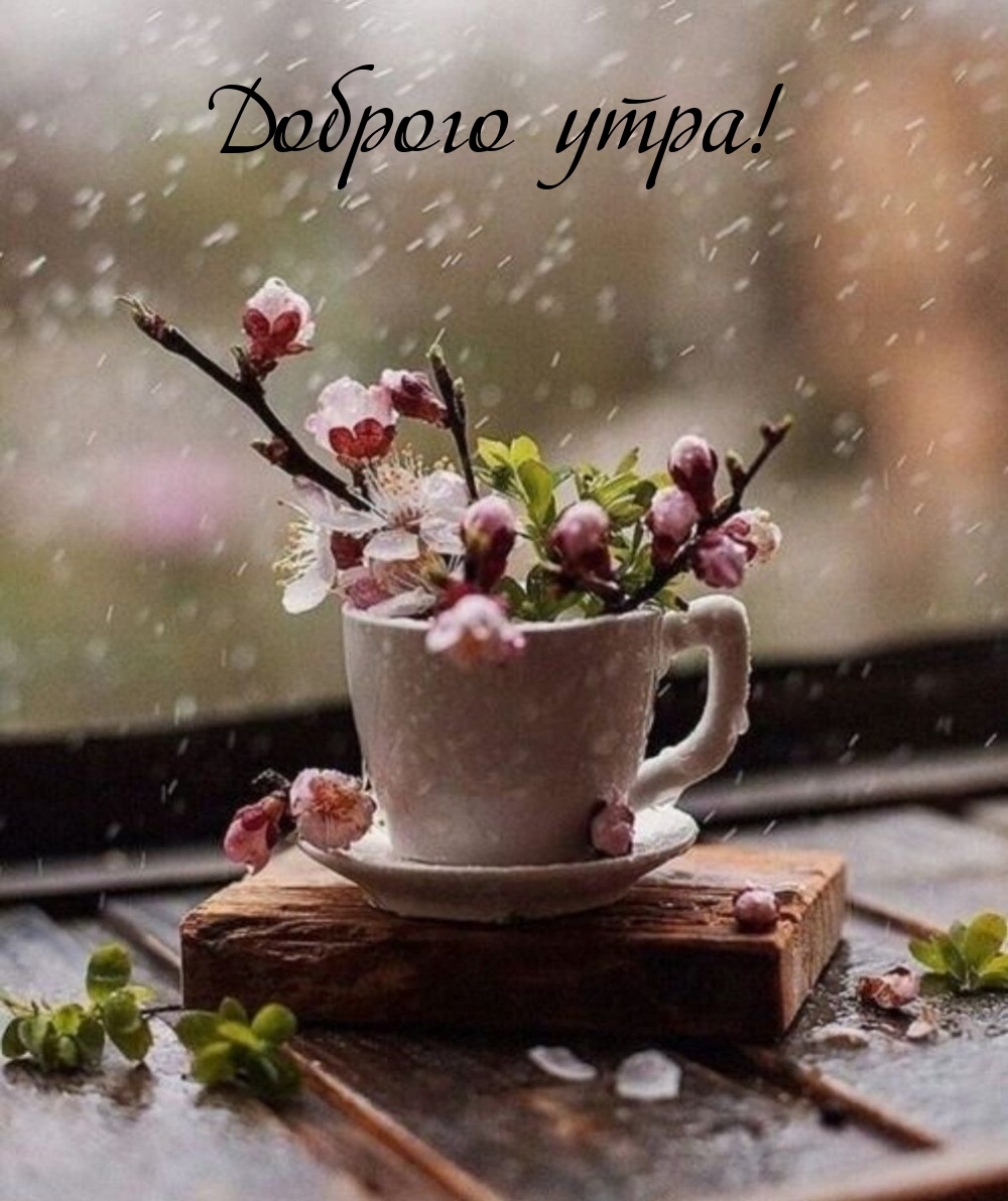 Доброго утра!