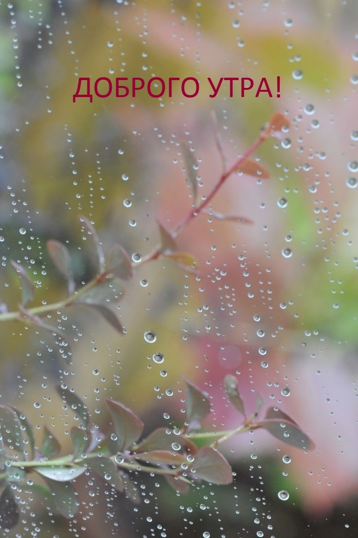 Доброго утра!