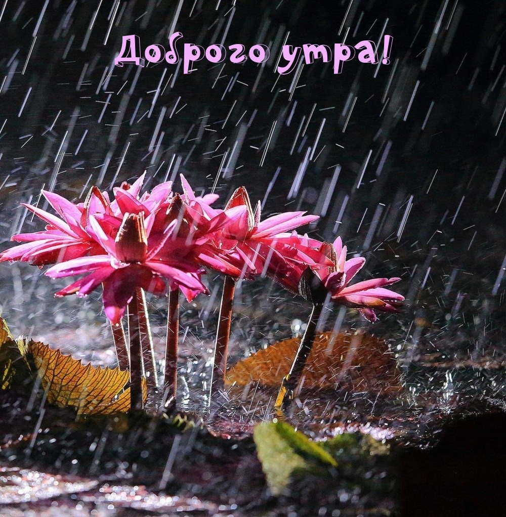Доброго утра!