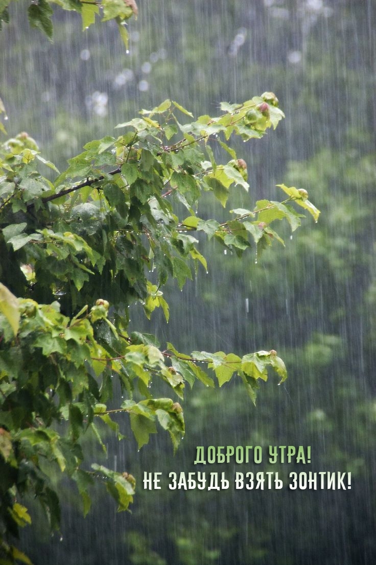Доброго утра! Не забудь взять зонтик!