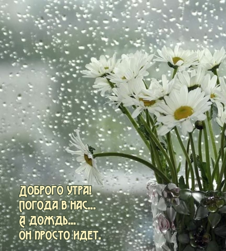 Доброго утра! Погода в нас... А дождь...он просто идет.