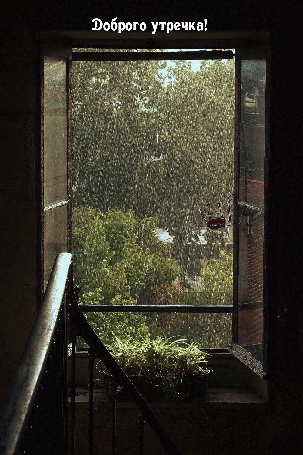 Доброго утречка! Доброго утречка!