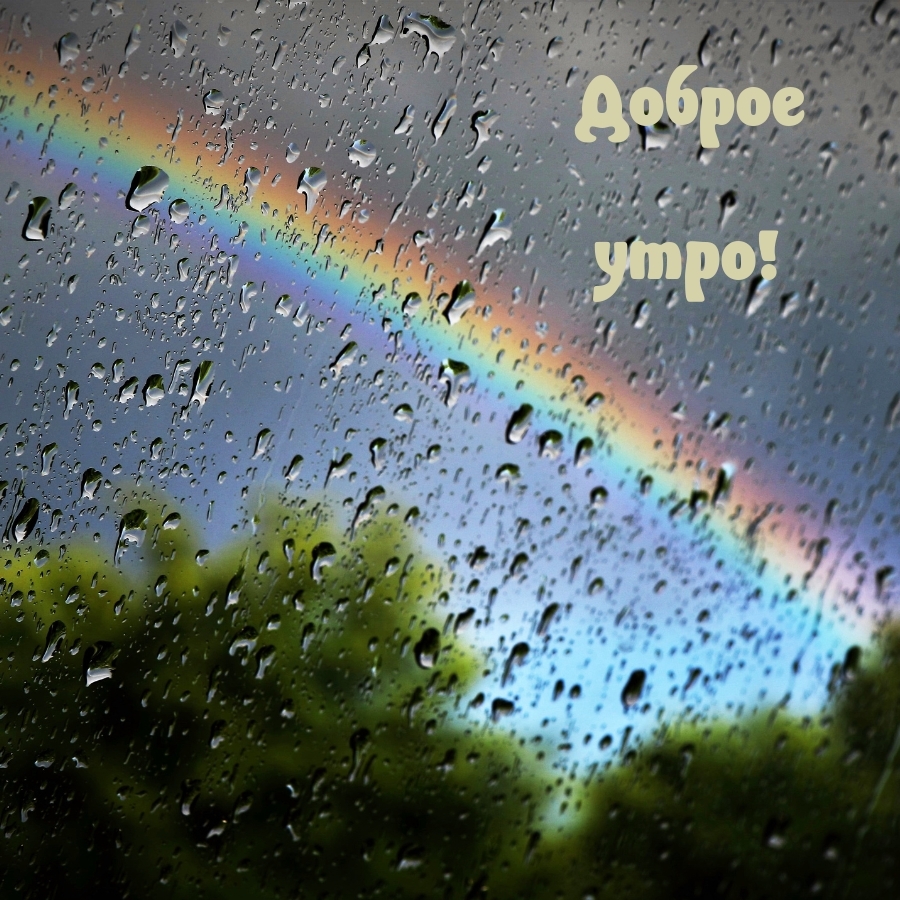 Доброе утро!