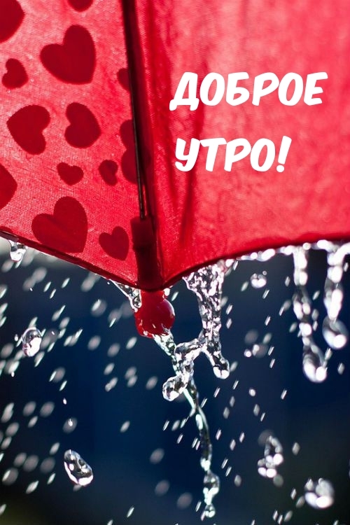 Доброе утро!